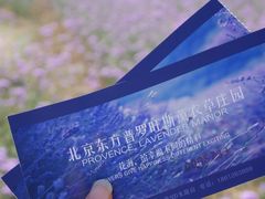 -北京东方普罗旺斯薰衣草庄园