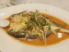 酸菜咸柠蒸黄鱼-海宝酒家(中山四路店)