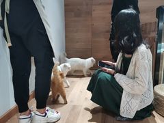 -瞄一喵猫咖(格力海岸店)