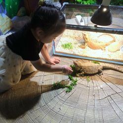 -酷嗒动物文化乐园(cutezoo西溪乐天城店)