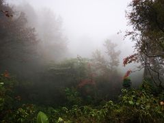 -广州市石门国家森林公园