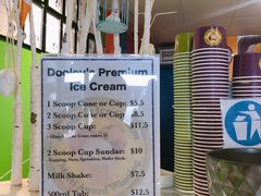 -Dooley's Premium Ice Cream