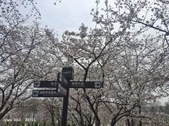 -苏州上方山国家森林公园
