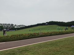 -迪茵湖田家舍生态农场