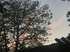 -喜洲吧·江畔老船厂·庭院餐厅(喜临院店)