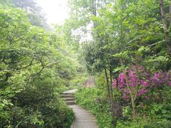 -南岳衡山风景名胜区