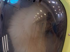 -瑞派紫金宠物医院24小时·骨科·中兽医·重症转诊中心(番禺大石院)