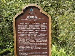-龙苍沟森林公园