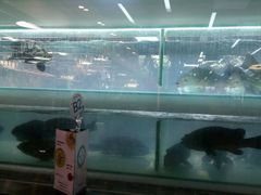 -盒马渔市餐厅