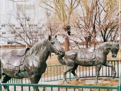 -元大都城垣遗址公园