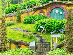 -仰天湖大草原
