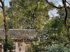 -阿育王寺
