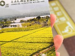 -长兴太湖图影湿地文化园