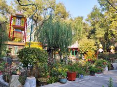 -白家大院·王府宫廷菜(苏州街店)