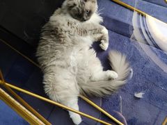 -零纪元VR体验馆·桌游(黄浦店)