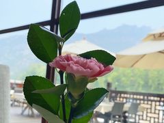 -望京楼flavor餐厅(古北水镇景区店)