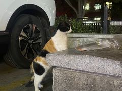 -便利蜂(广安门内大街319号店)