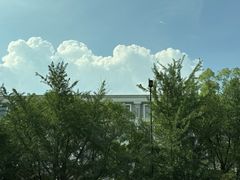 -西湖外事游船(湖滨二公园外事游船码头)