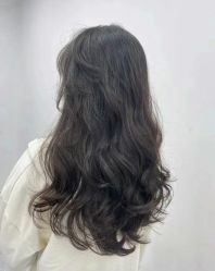 -YESIDO椰岛造型