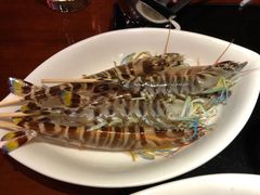 斑节虾-春秋火锅(复兴中路店)