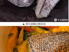 -山杏yama-katsu·吉列炸物