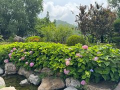 -云丘山景区