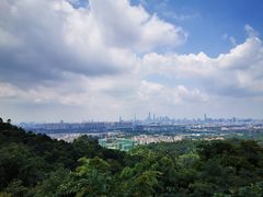 -火炉山森林公园
