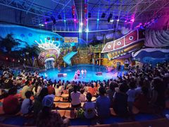 -烟台海昌鲸鲨海洋公园