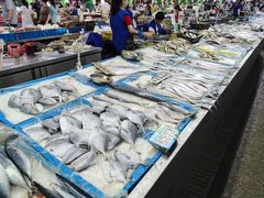 水产区-陇南批发市场