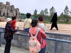 -鄂尔多斯野生动物园