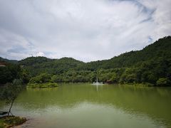 -广州白江湖森林公园