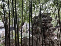 -秋霞圃