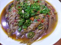 -全乐鱼馆·淳牌有机鱼直营店