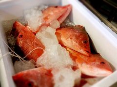 -垦丁辉哥生鱼片