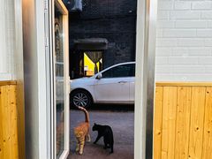 -箪食记(汉口路店)
