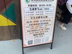 -西双版纳原始森林公园