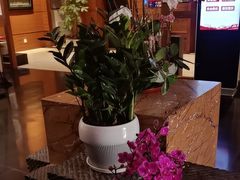 -黔蘑菇四季餐厅(观山湖店)