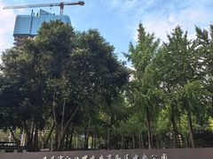 -重庆市江北嘴中央商务区中央公园
