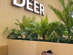 -仙隐小鹿料理食堂(武汉摩尔城店)