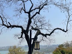 -苏州上方山国家森林公园