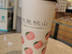 -伏小桃(明瓦廊店)