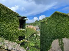 -枸杞岛
