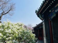 -恭王府博物馆