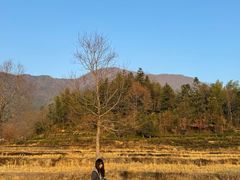 -塔川景区