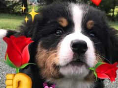 -极客修手机维修·电脑维修·家电维修清洗(五一广场店)