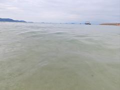 -大梅沙海滨公园