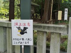 -北海道神宫