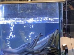 -本炙炭烤·蒲烧活鳗料理店(金沙洲店)