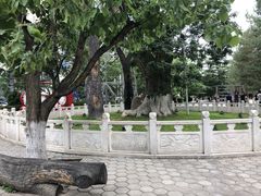 -雁滩公园