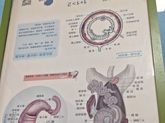 -半岛宠物医院24小时(白果林店)